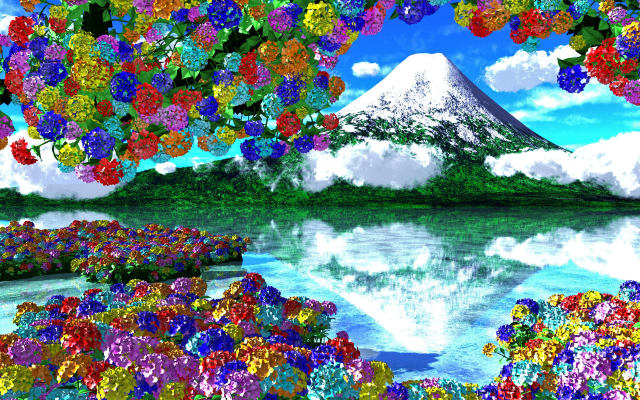 色々な紫陽花と冠雪の山
