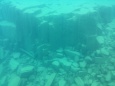 支笏湖の湖底・柱状節理
