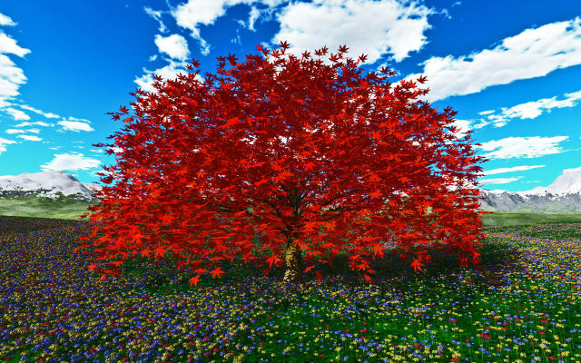 紅葉したカエデの大樹