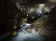 秋芳洞・洞内の川