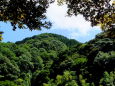 渓流から見上げる晩夏の空