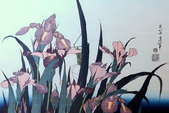 あやめにきりぎりす 