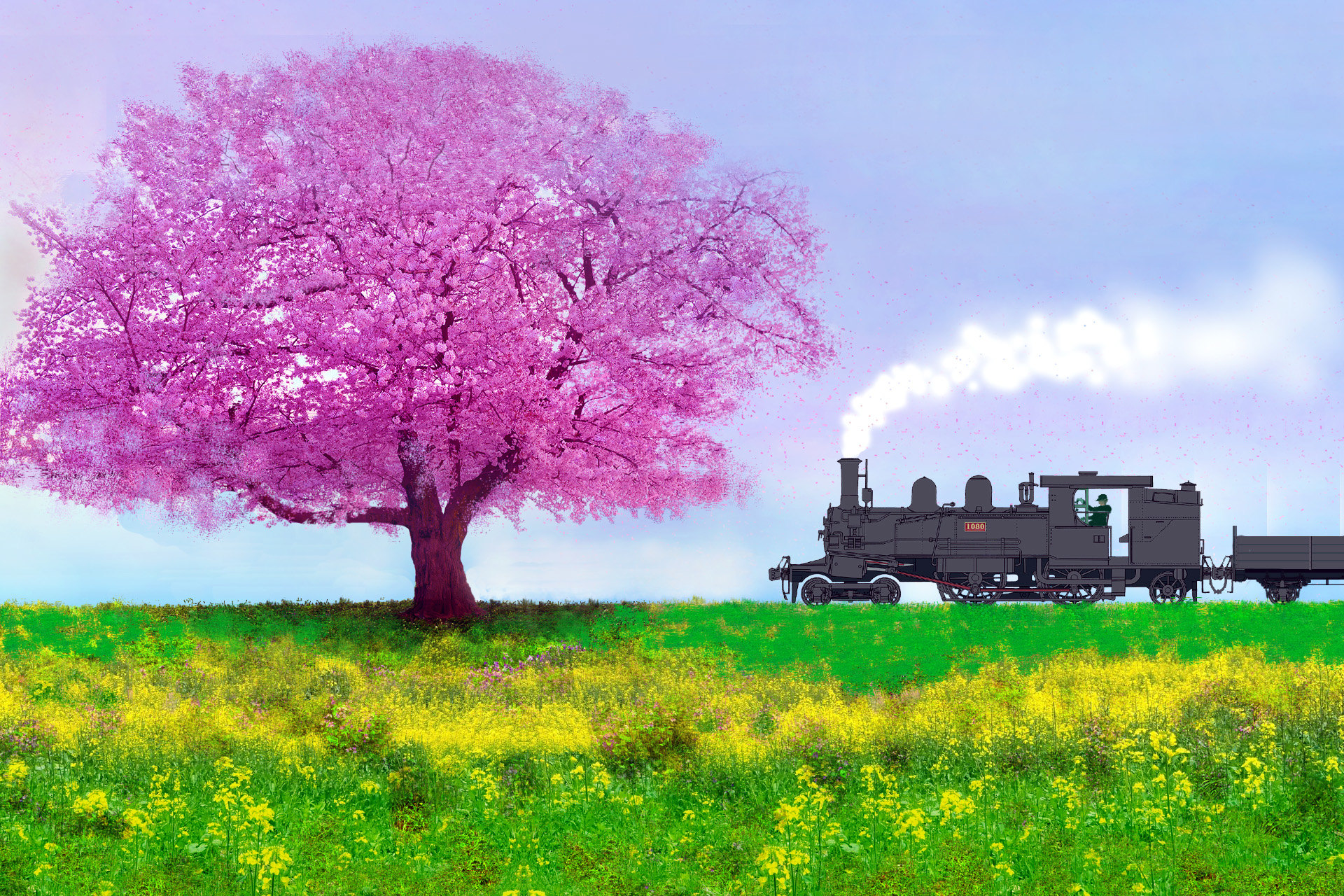 イラスト 絵画 桜 菜の花 蒸気機関車 壁紙19x1280 壁紙館