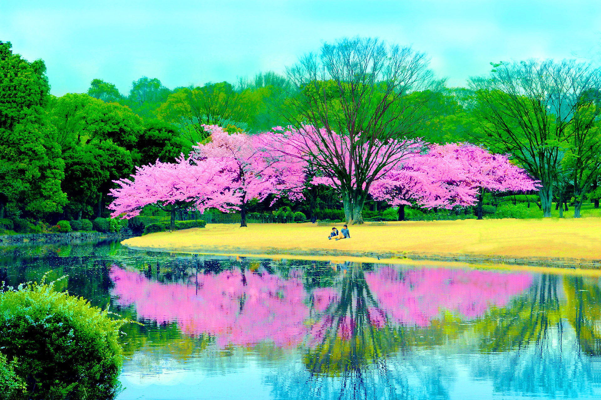 イラスト 絵画 桜の園 壁紙19x1280 壁紙館