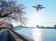長良川の桜とF2