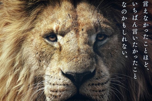 四宮義俊氏作ライオンキング
