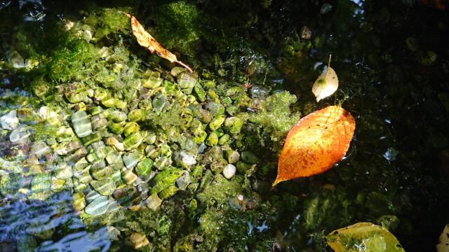 みずの都・信州松本