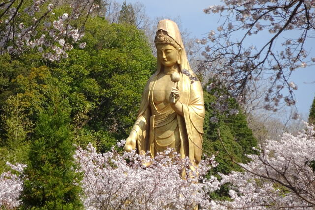 黄金の昇竜観音菩薩