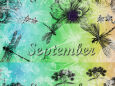 september