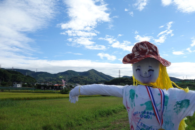 秋晴れに微笑む案山子