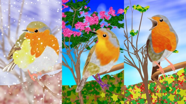 ヨーロッパ・コマドリ(test)