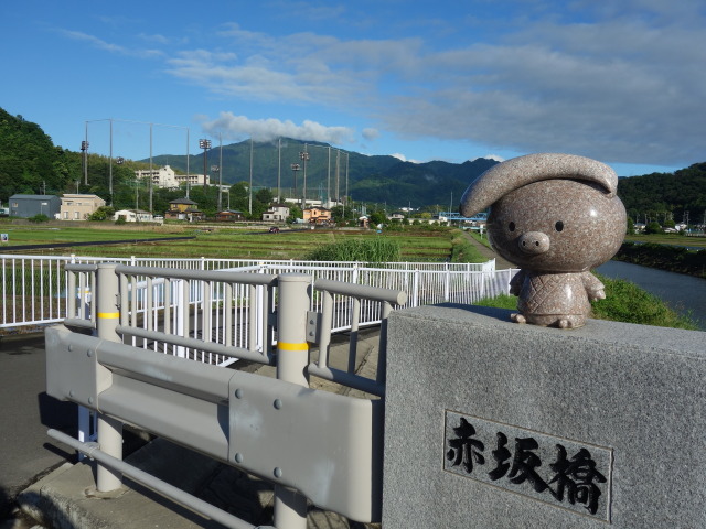 朝の散歩道(あゆコロちゃん橋)