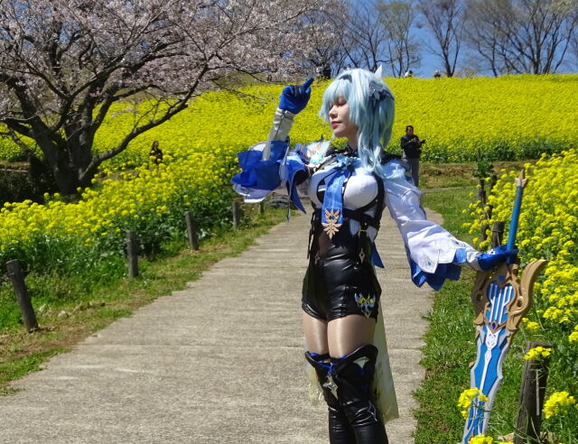 白木峰高原 春の妖精