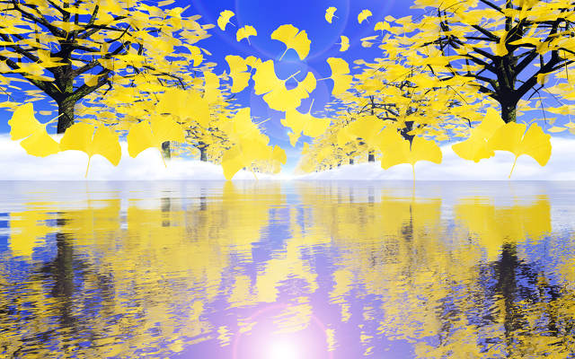 秋のイチョウ並木