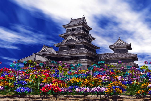 松本城と花畑