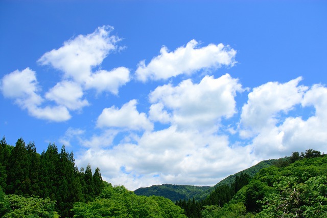 新緑と青空に浮かぶ雲