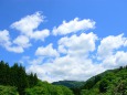 新緑と青空に浮かぶ雲