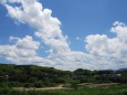 夏雲です。