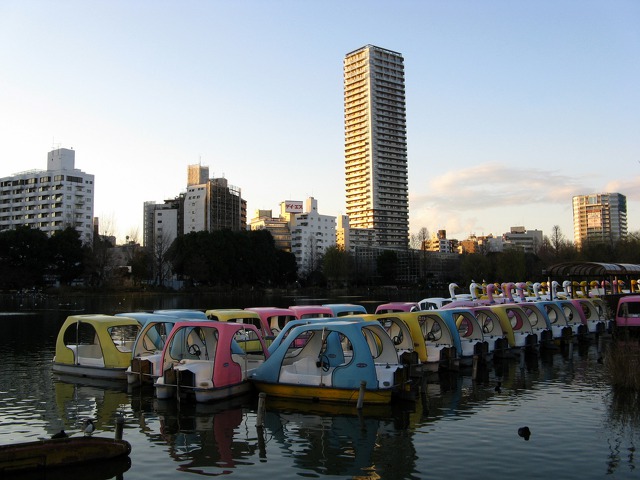不忍池の夕暮れどき