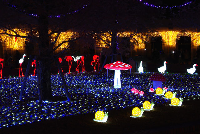 神戸・イルミナージュ2011