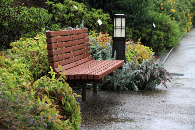 雨の中のベンチ