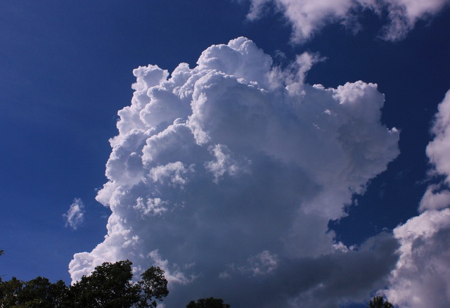 夏雲