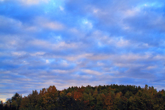 紅葉の丘と夕暮れ雲