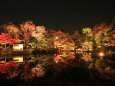 名古屋白鳥庭園ライトアップ