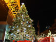 東京タワーのクリスマスツリー