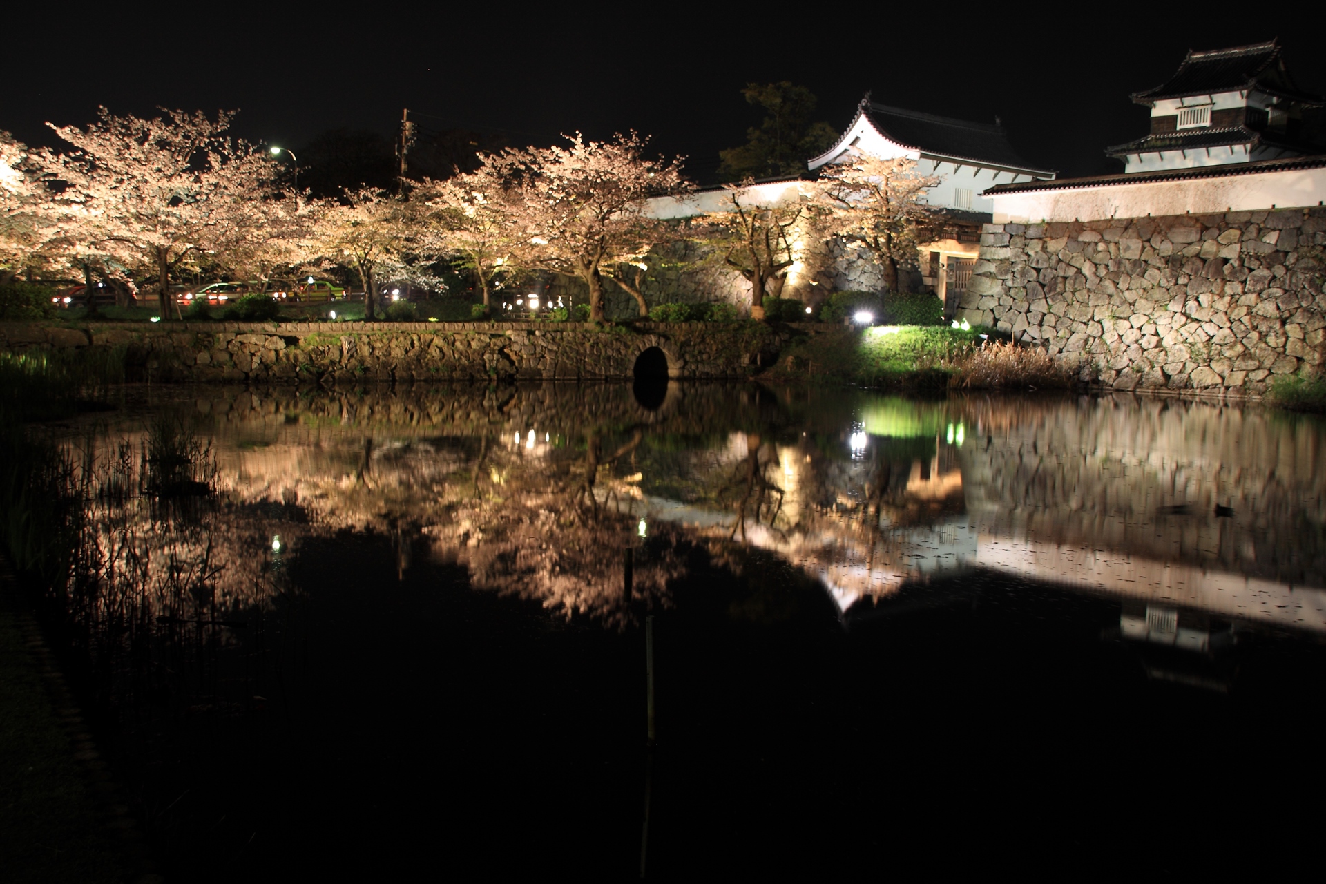 夜景 花火 イルミ 福岡城址の夜桜 壁紙19x1280 壁紙館