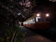 夜桜と電車