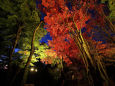 紅葉の京都・笠置山自然公園