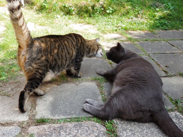 親しき仲にも礼儀あり