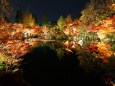 紅葉の京都・永観堂ライトアップ
