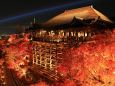 京都清水寺ライトアップ
