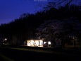 里山の駅と夜桜