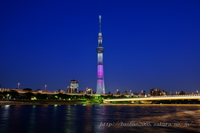 スカイツリー・ブルーモーメント