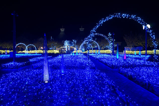 冬華の競演 光の雲海