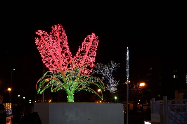 ホワイトイルミネーション2