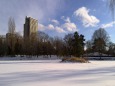 公園の池も凍り