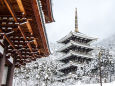 冠雪の大師山清大寺 五重塔