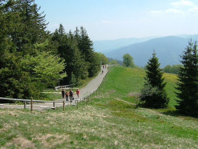 牧場スポーツランド化された山