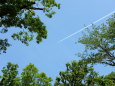 青空と飛行機雲