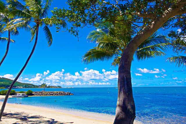 ヌメアのビーチ