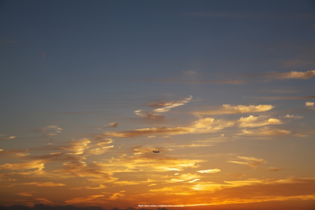 オレンジの中泳ぐ