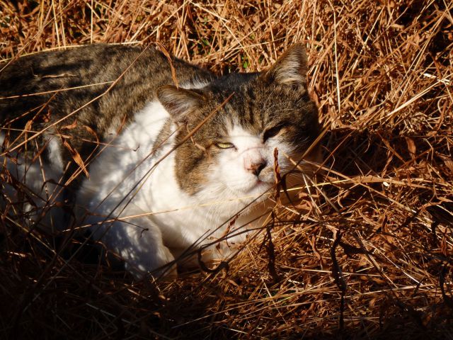 あの～寒いんだけど