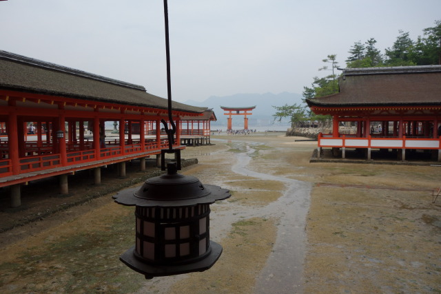 厳島神社大鳥居