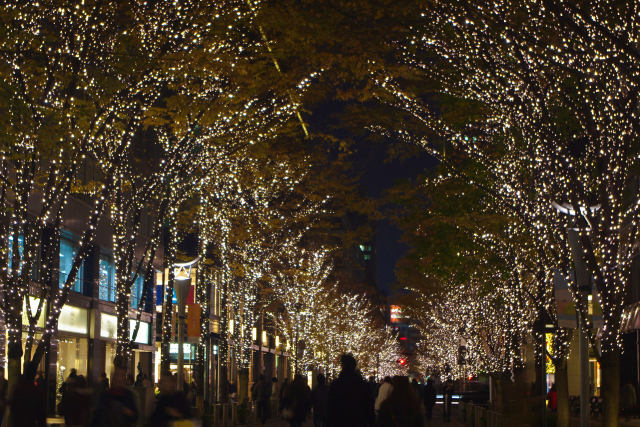 丸の内仲通りのイルミ 