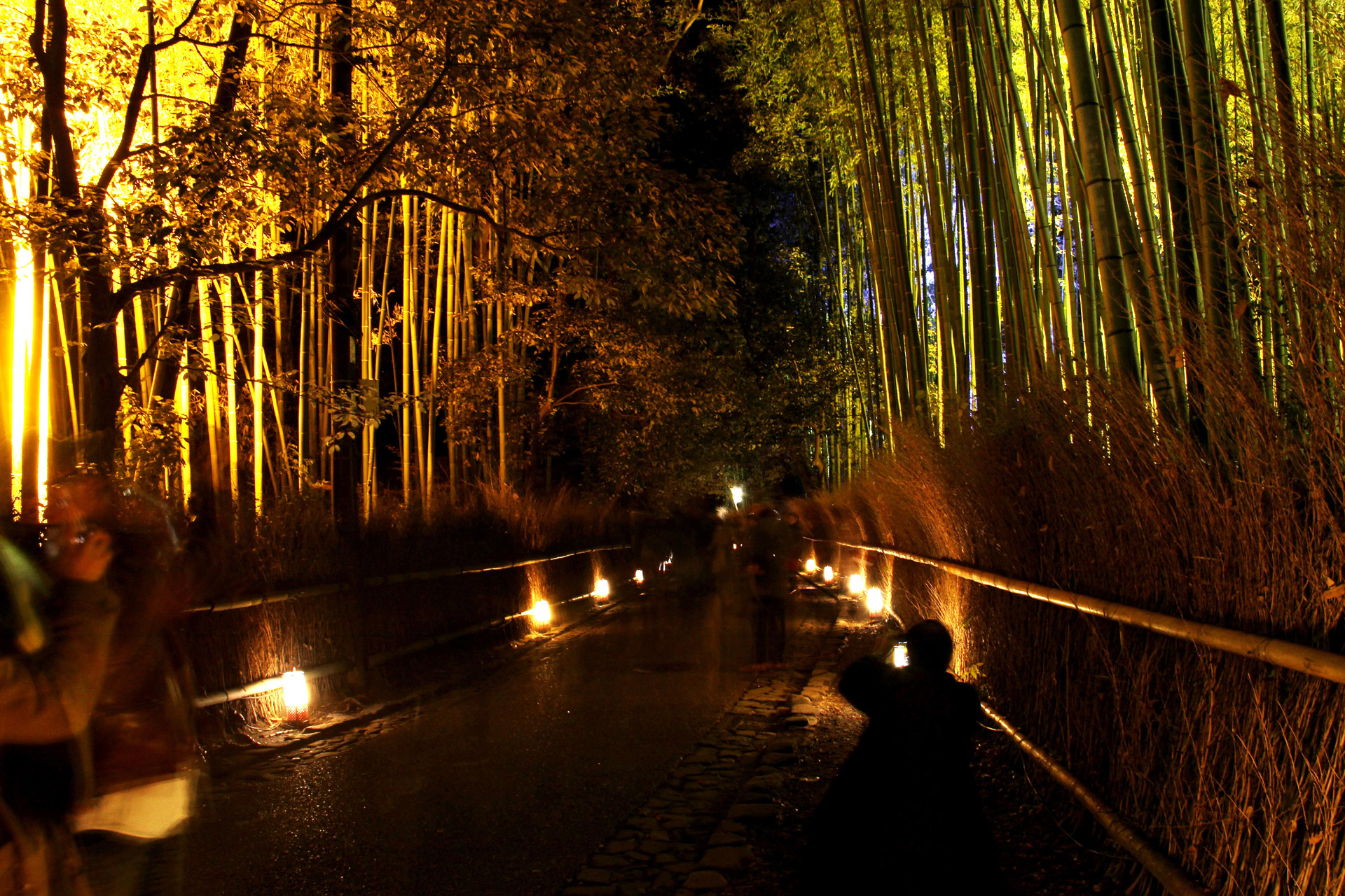 夜景 花火 イルミ 嵐山花灯路 竹林の小径 壁紙19x1280 壁紙館