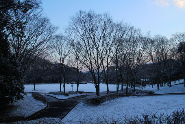 雪の朝・黎明の公園